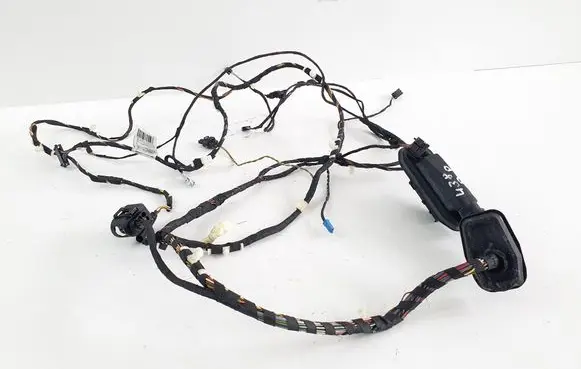 BMW X3 F25 Front door wiring loom 9243655 9169242 9252384