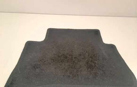 Toyota C-HR I Rear floor mat 