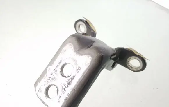 Nissan Qashqai Rear door lower hinge