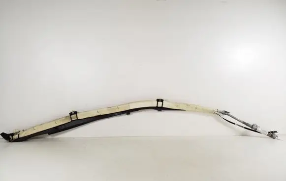 Mercedes-Benz CLS C219 Roof airbag A2198600105