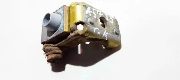 Peugeot 206 Rear door lower hinge
