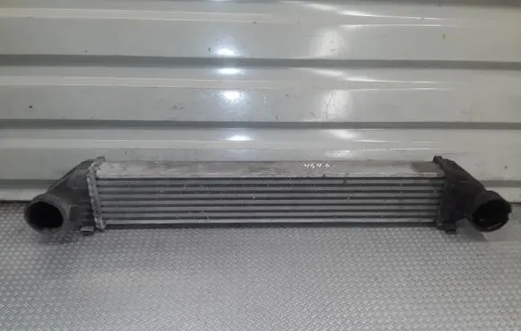 Mercedes-Benz B W245 Intercooler radiator A1695000000