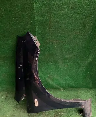 Fiat Punto Evo Fender