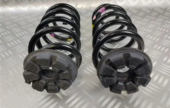 Smart ForFour II W453 Rear coil spring 