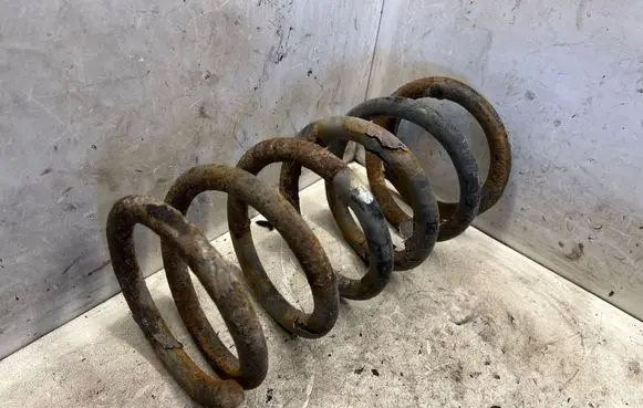 Hyundai Santa Fe Rear coil spring