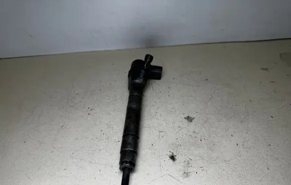 Mercedes-Benz ML W163 Fuel injector A6130700887 0445110202