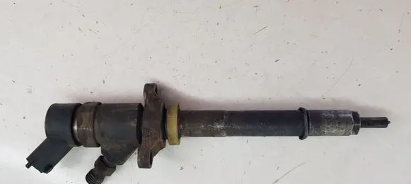 Citroen C5 Fuel injector 0445110188