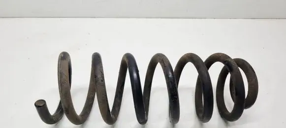 Rear coil spring