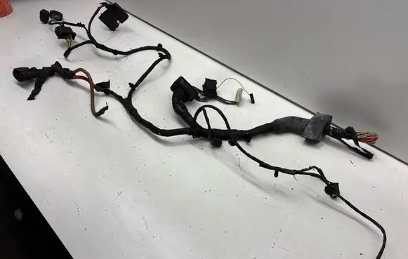 Other wiring loom