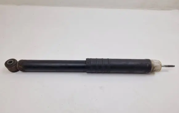 Renault Zoe Rear shock absorber/damper 552405569R