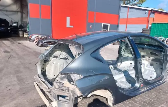 Citroen DS4 Fender