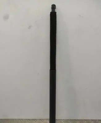 Tailgate strut