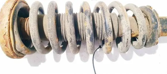 Honda Accord Front coil spring 