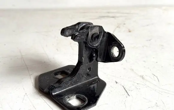 Tesla Model S Front door lower hinge 
