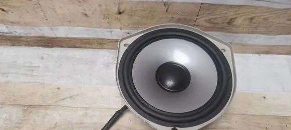 Rear door speaker