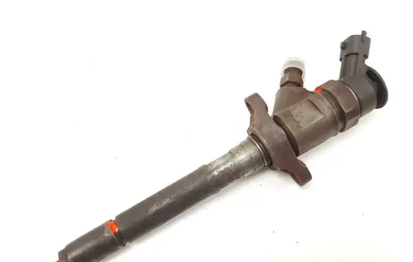 Peugeot Bipper Fuel injector 0445110311 620033