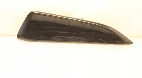 Lexus NX Front door trim (molding)