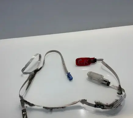 Mercedes-Benz CLS C219 Rear door wiring loom A2195404305 4310003 2195404305
