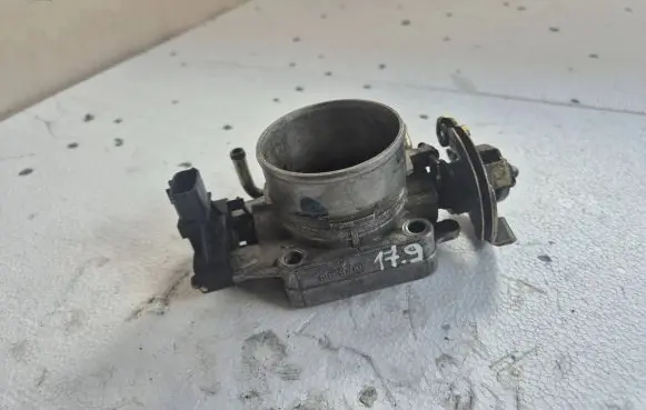 Nissan Serena Throttle valve SERA483-1