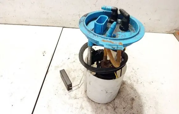 Volkswagen Eos In-tank fuel pump 1k0919051