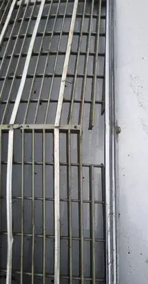 Mercedes-Benz W123 Front grill