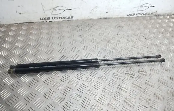 Renault Kangoo I Tailgate/trunk strut/damper