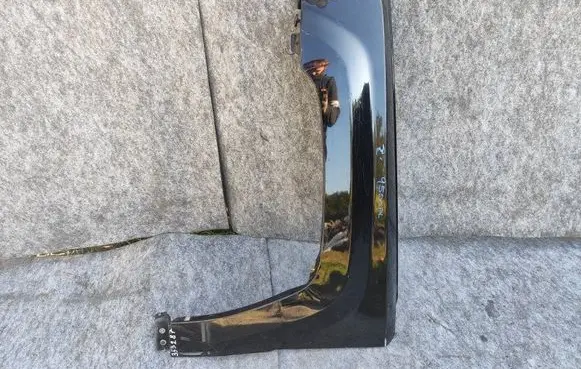 Jeep Patriot Fender 68079925AA