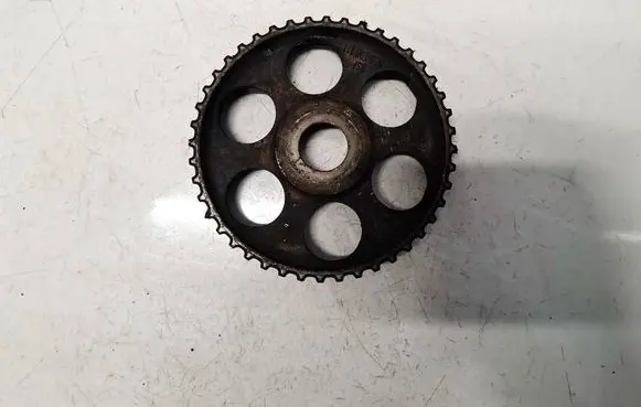 Volkswagen PASSAT B5 Camshaft pulley/ VANOS 069109111