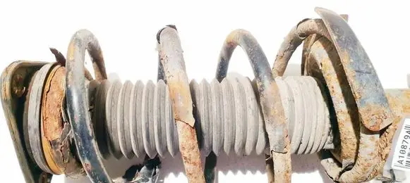 Front coil spring