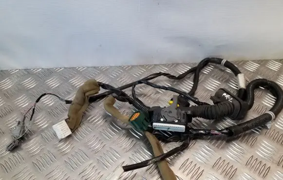Nissan Juke I F15 Front door wiring loom 241251KK0C