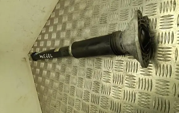 BMW 2 Active Tourer U06 Rear shock absorber/damper 5A13769