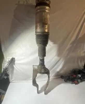 Land Rover Range Rover Sport L494 Air suspension front shock absorber DPLA3C286BJ