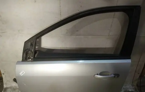 Ford Focus Front door pilkos