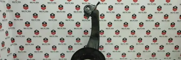 Rear wheel hub