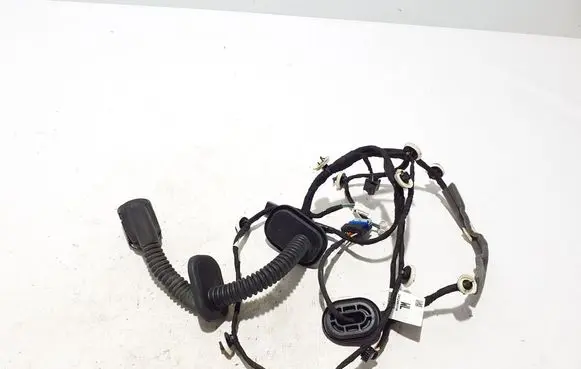 Renault Arkana Other wiring loom 241249371R