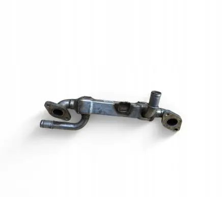 Seat Alhambra (Mk1) EGR valve cooler 038131513C