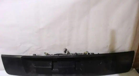 Renault Scenic II - Grand scenic II Rear door card trim 