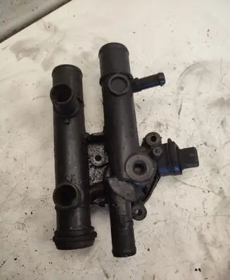 Thermostat/thermostat housing