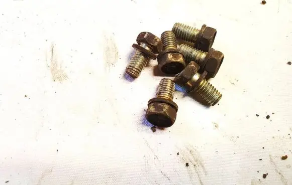 Nuts/bolts