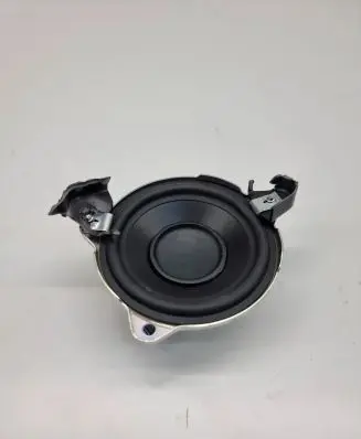Front door high frequency speaker