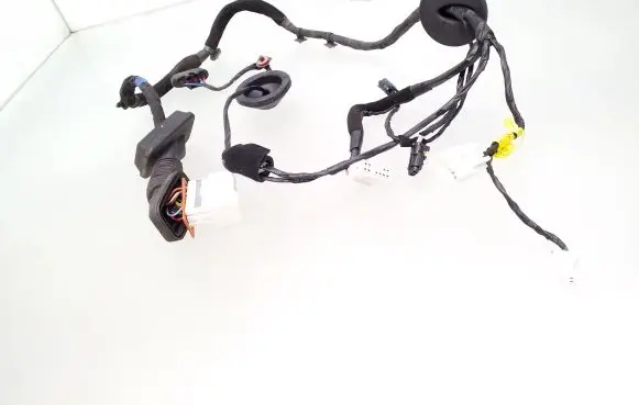 KIA Carens II Front door wiring loom 916101D170