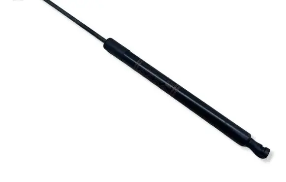 Toyota C-HR I Tailgate strut 68950F4062