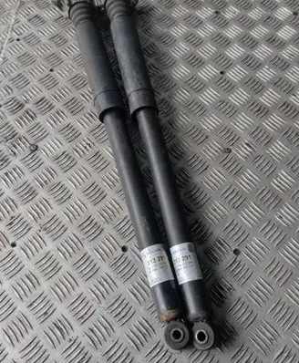 Ford Focus C-MAX Rear shock absorber/damper 313291 281700313291 81700313291