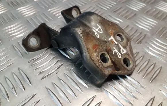 Hyundai Santa Fe Front door lower hinge 
