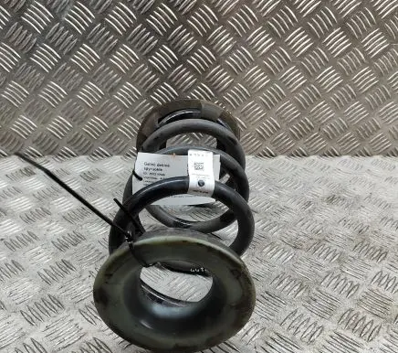Tesla Model Y Rear coil spring 118847200B