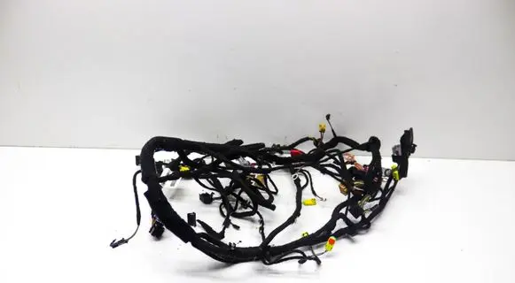 Other wiring loom