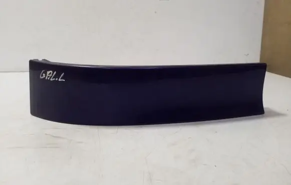 Rear/tail light trim molding