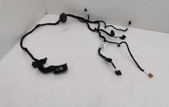 Rear door wiring loom