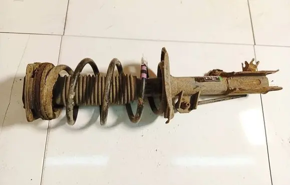 Nissan Qashqai Front shock absorber/damper 824903002933 54302jd01a