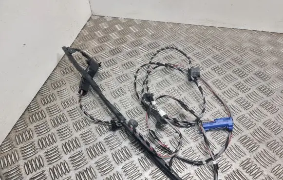 Opel Signum Other wiring loom 24440064